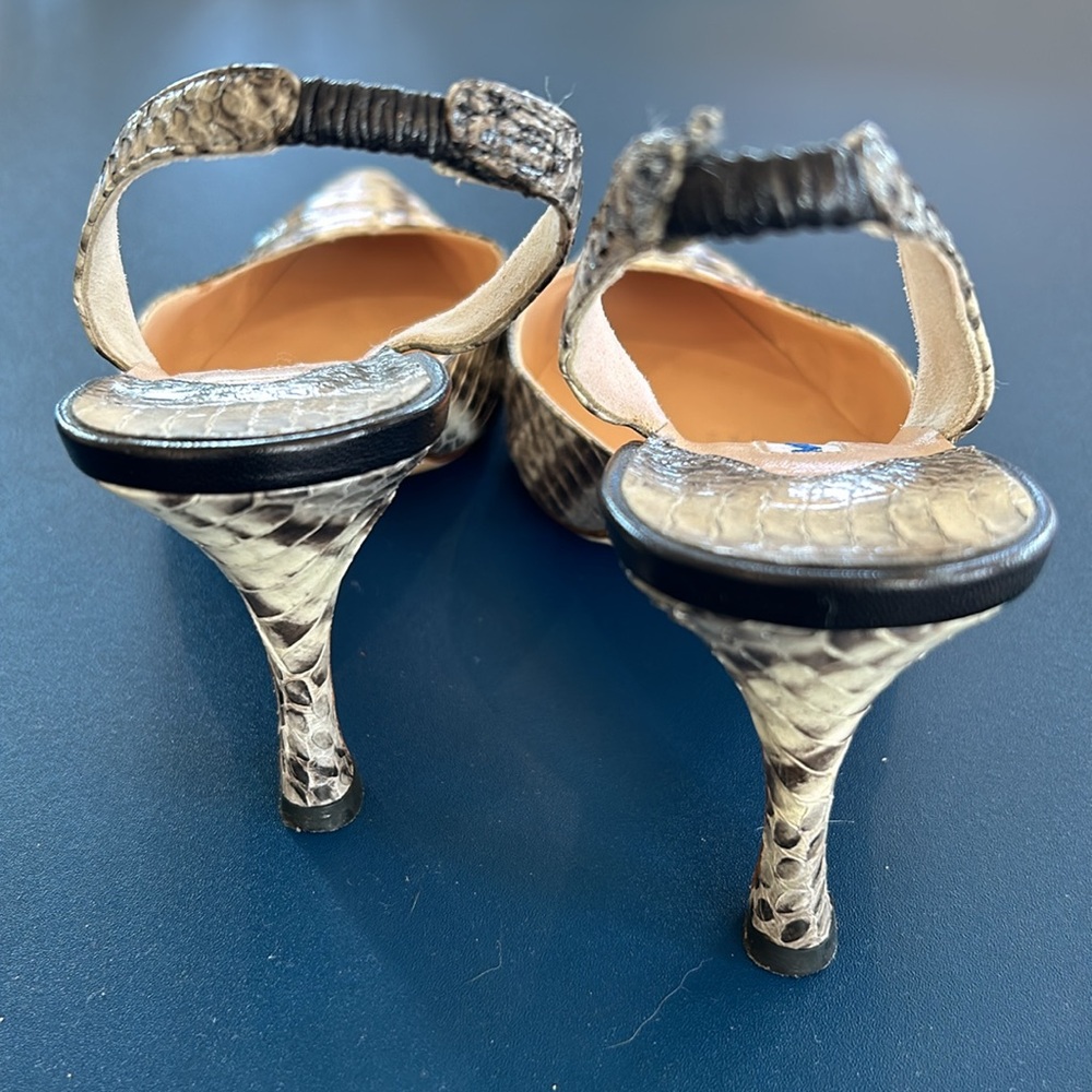 Manolo Blahnik Python 2 1/2 Slingback Heels - image 7